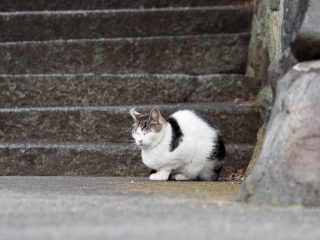 2016年2月1日