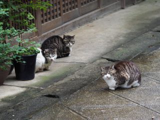 2018年5月9日