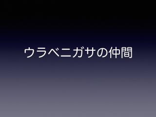 ウラベニガサの仲間