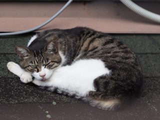 2019年10月5日