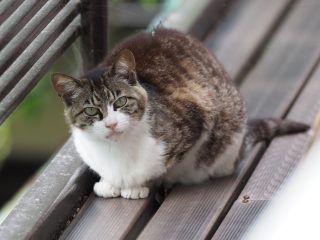 2019年7月6日