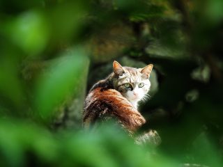 2016年5月23日