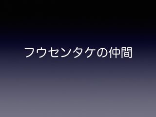 フウセンタケの仲間