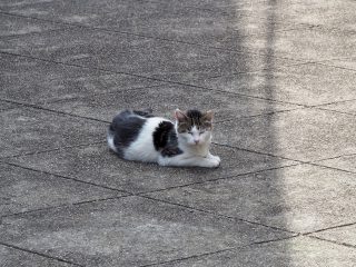 2015年3月18日
