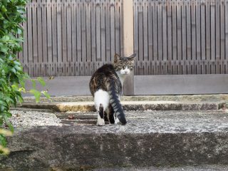 2015年10月9日