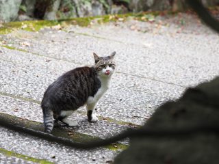 2019年11月30日