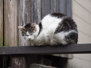 2017年3月6日