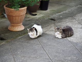 2018年5月2日