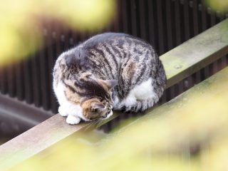 2014年4月6日