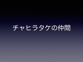 チャヒラタケの仲間