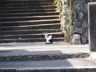 2014年4月11日