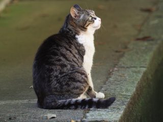 2018年4月21日