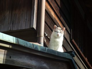 2010年11月27日