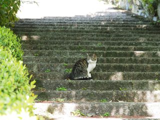 2016年4月20日