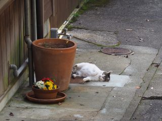 2015年3月22日