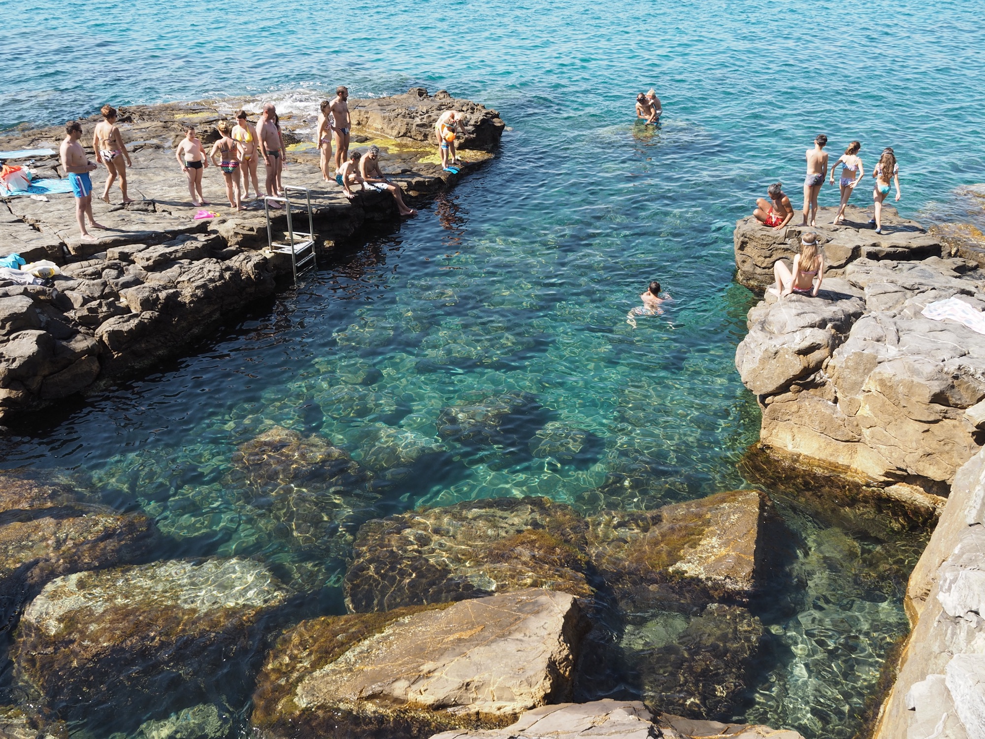 CERVO@2019