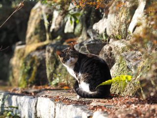 2016年1月12日