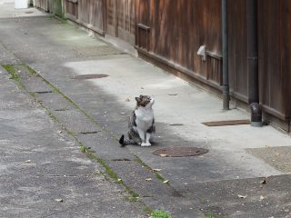 2015年4月10日