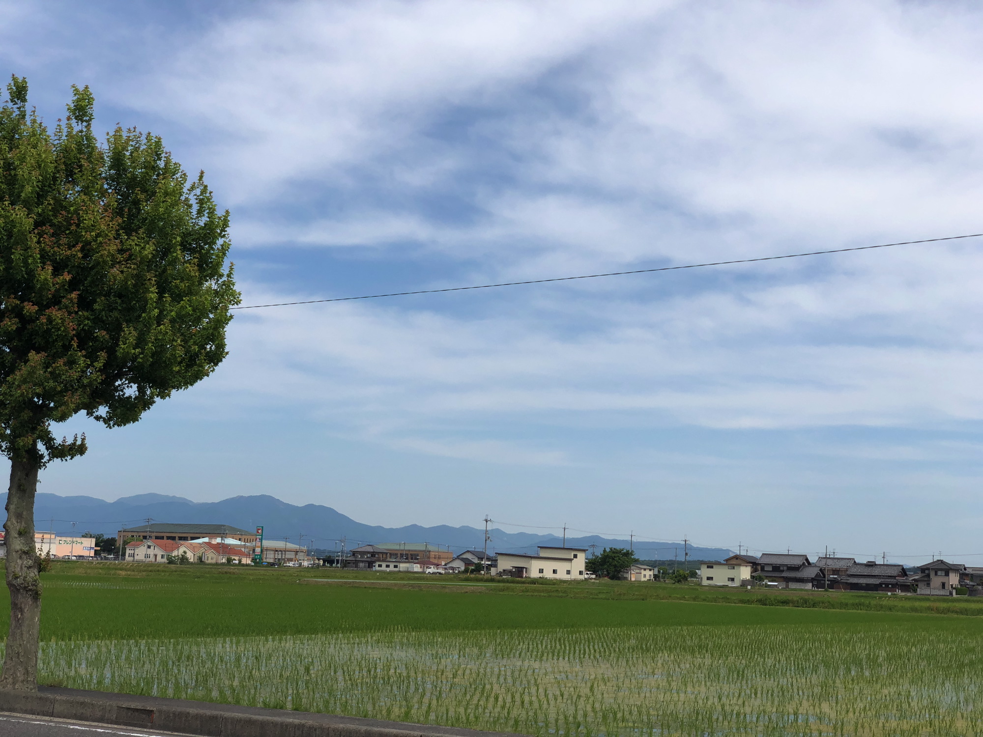 田んぼ