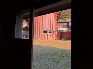 海椿葉山2