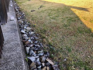 海椿葉山5