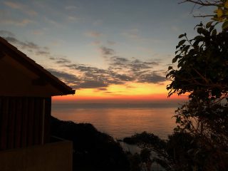 海椿葉山9
