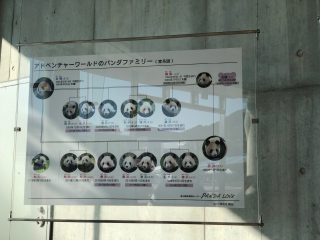 解説版１
