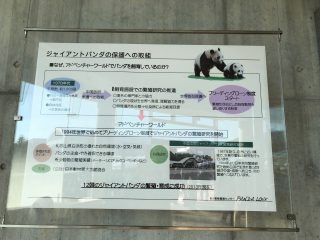 解説版2