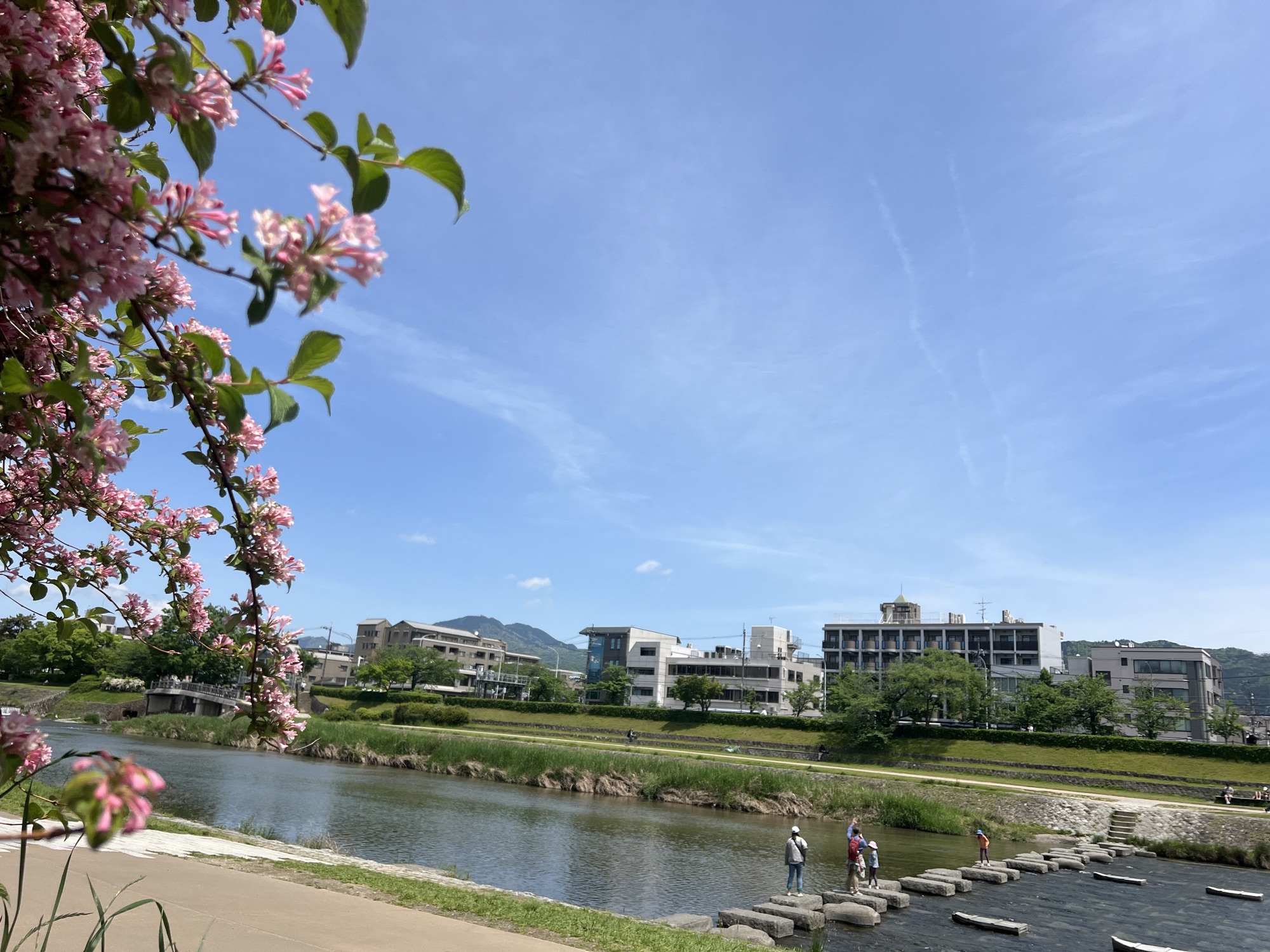 薫風そよぐ鴨川