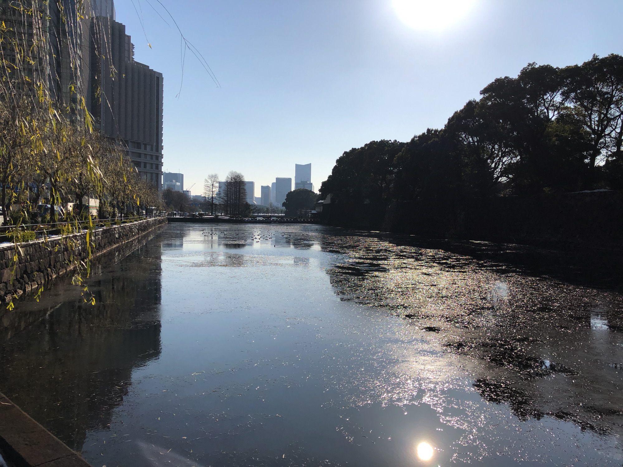 皇居のお堀