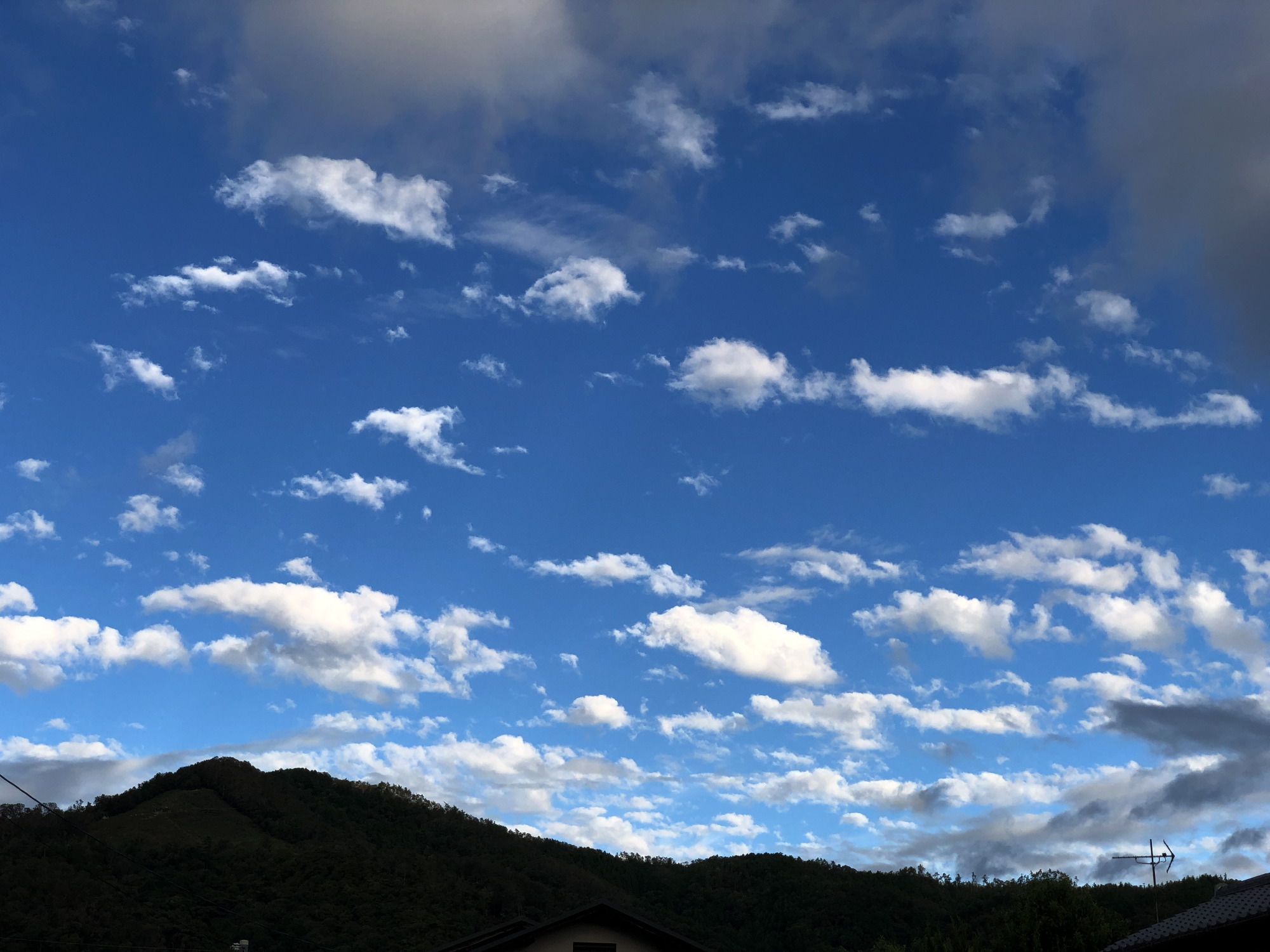 久しぶりの晴れ間
