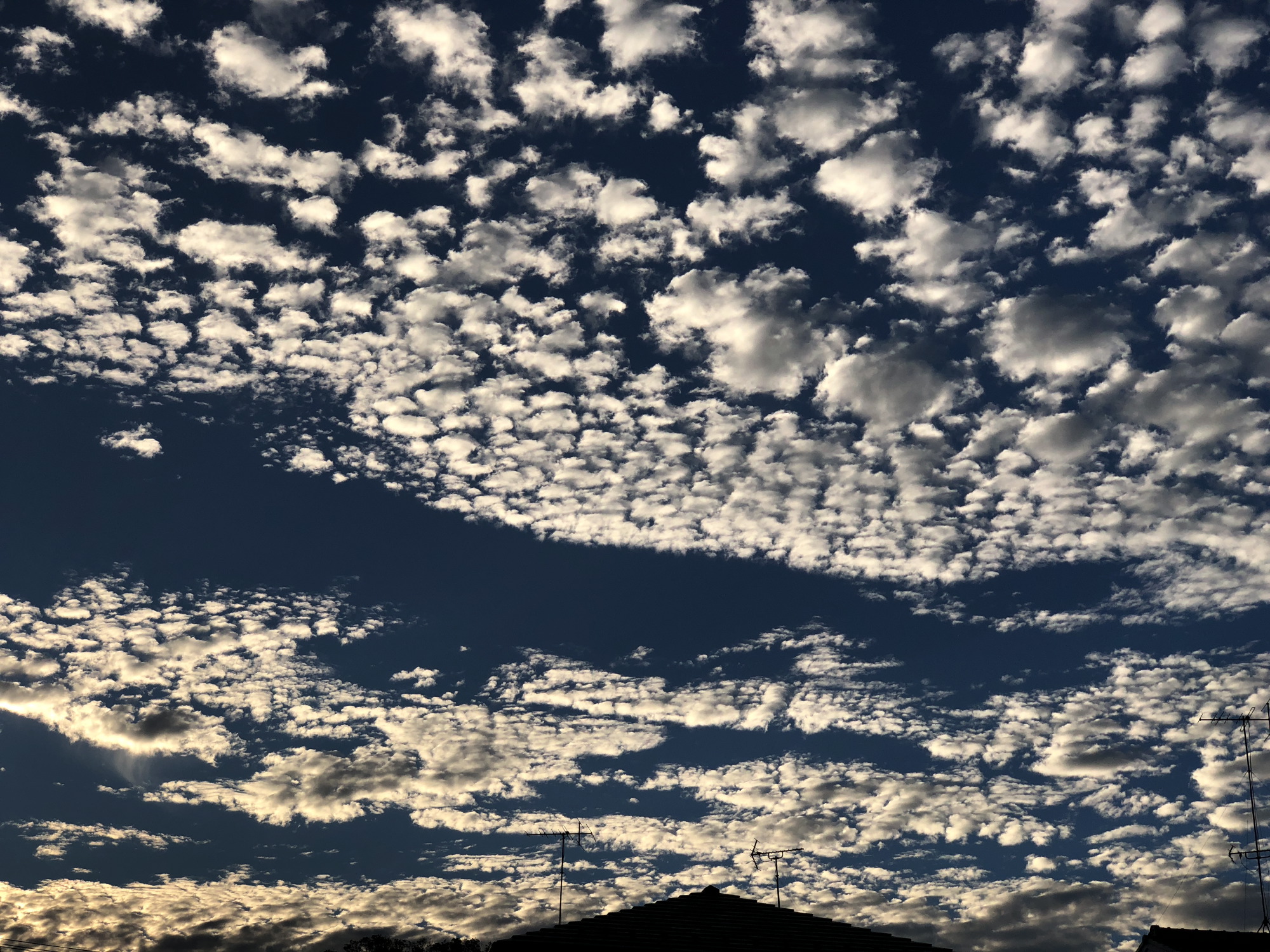 photo by iPhone X