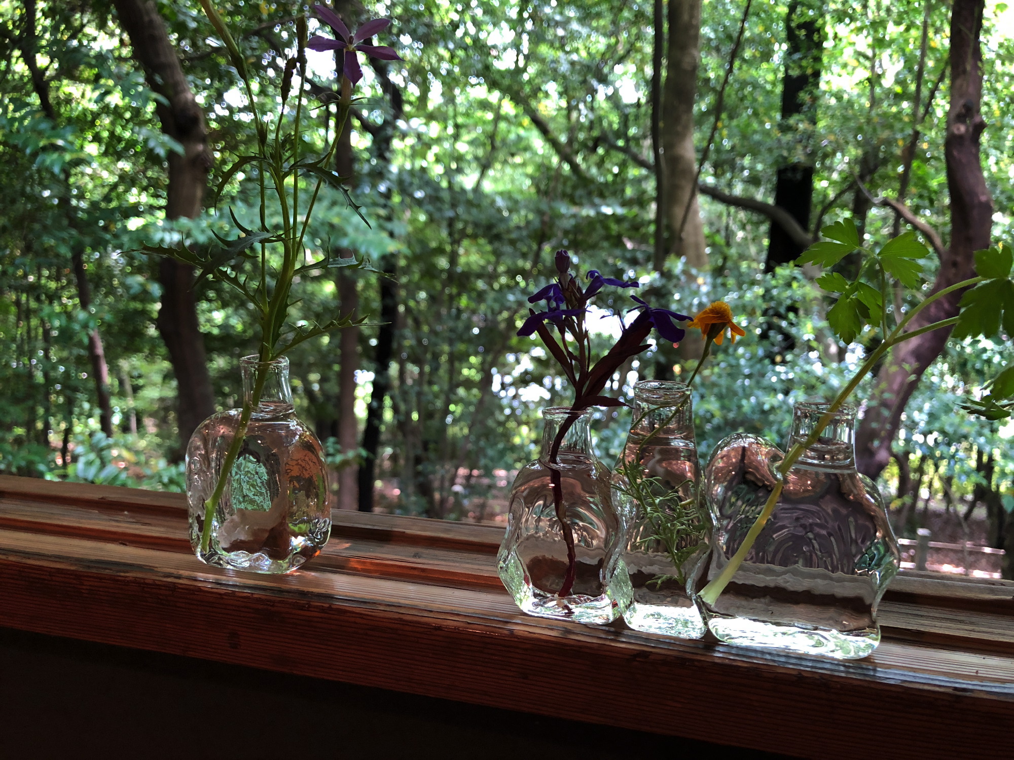 Glass & Grass