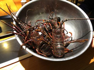 夕食＠リフレッシュポイント風未来２
