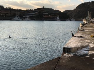 青野川３