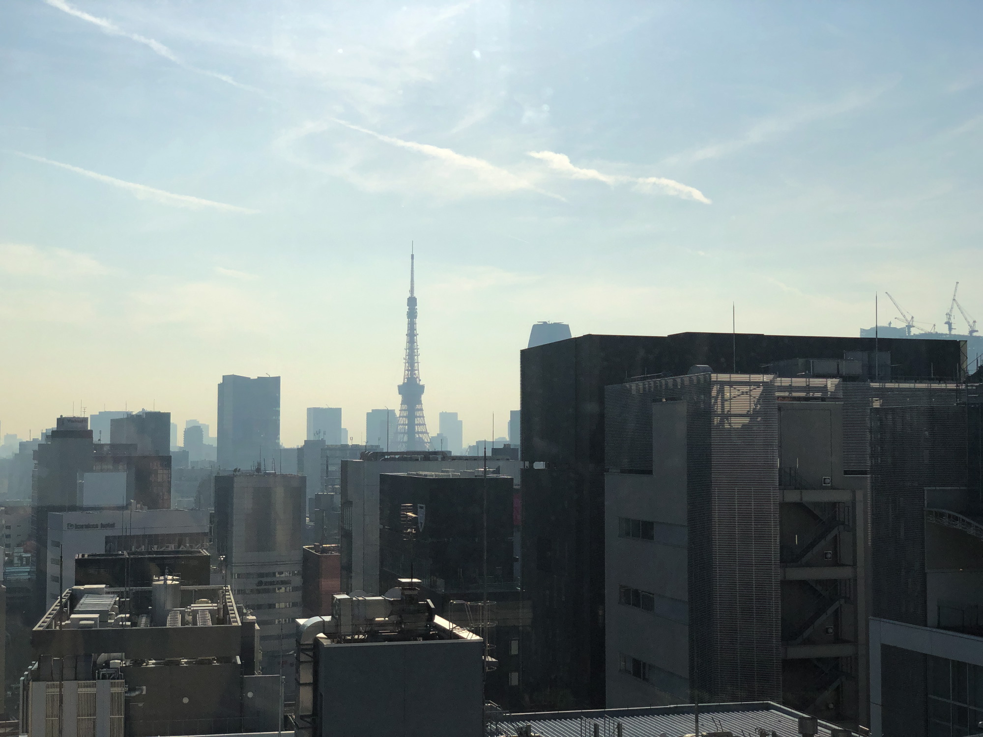 GINZA SIX屋上庭園から２