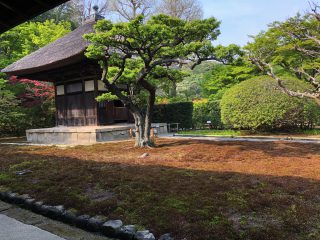 円覚観音堂＠長寿禅寺寺