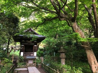 円覚寺