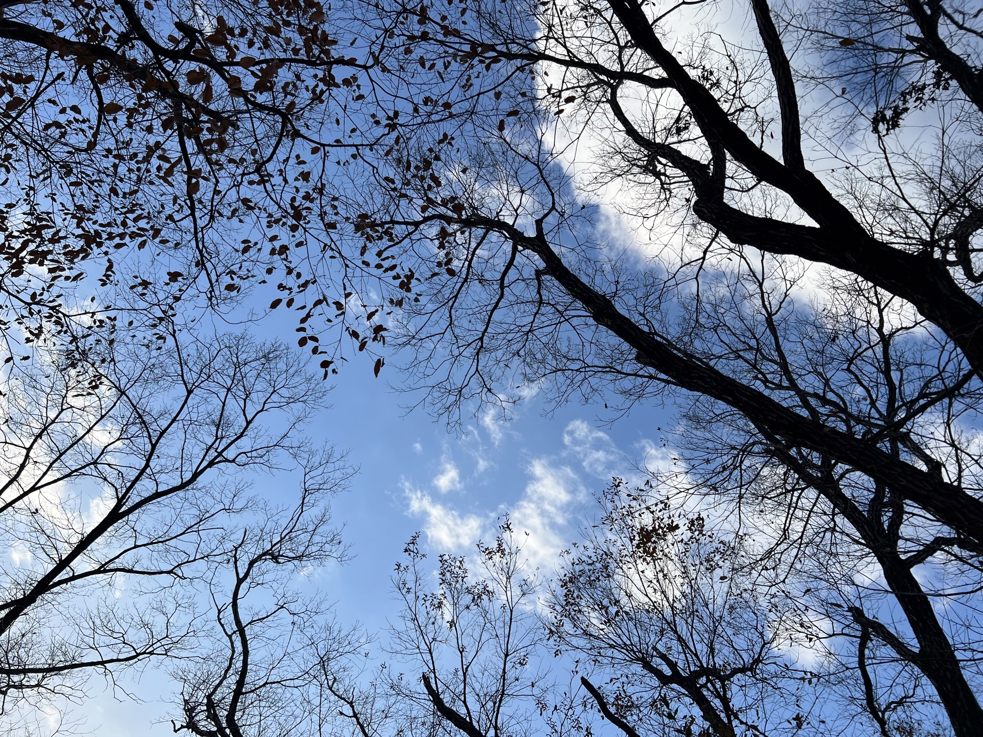 ＠吉田山