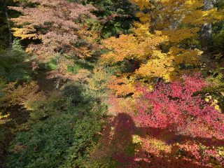 小諸城址懐古園４