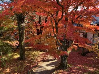 小諸城址懐古園９