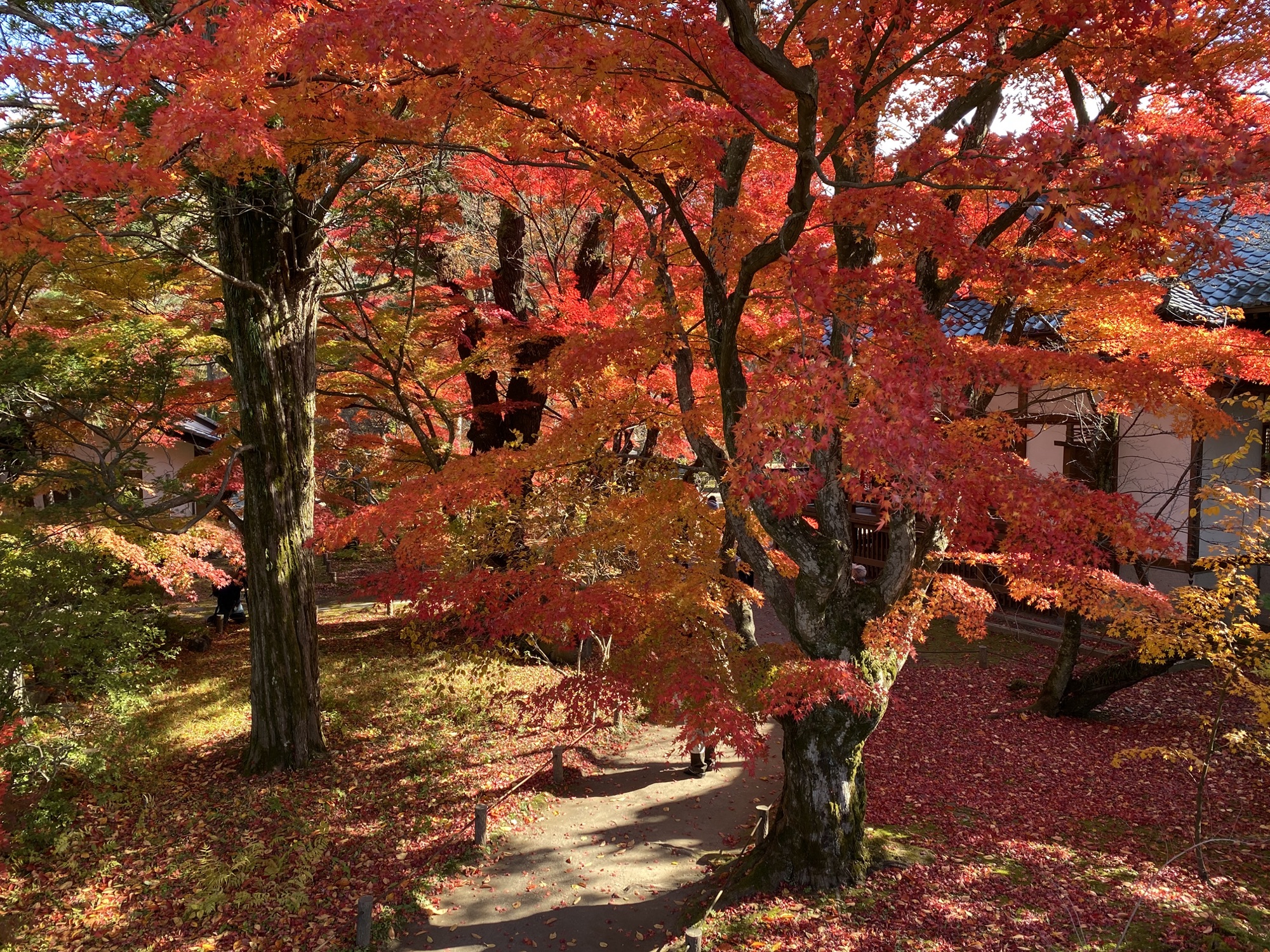 小諸城址懐古園９