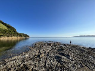 蒲井浜１