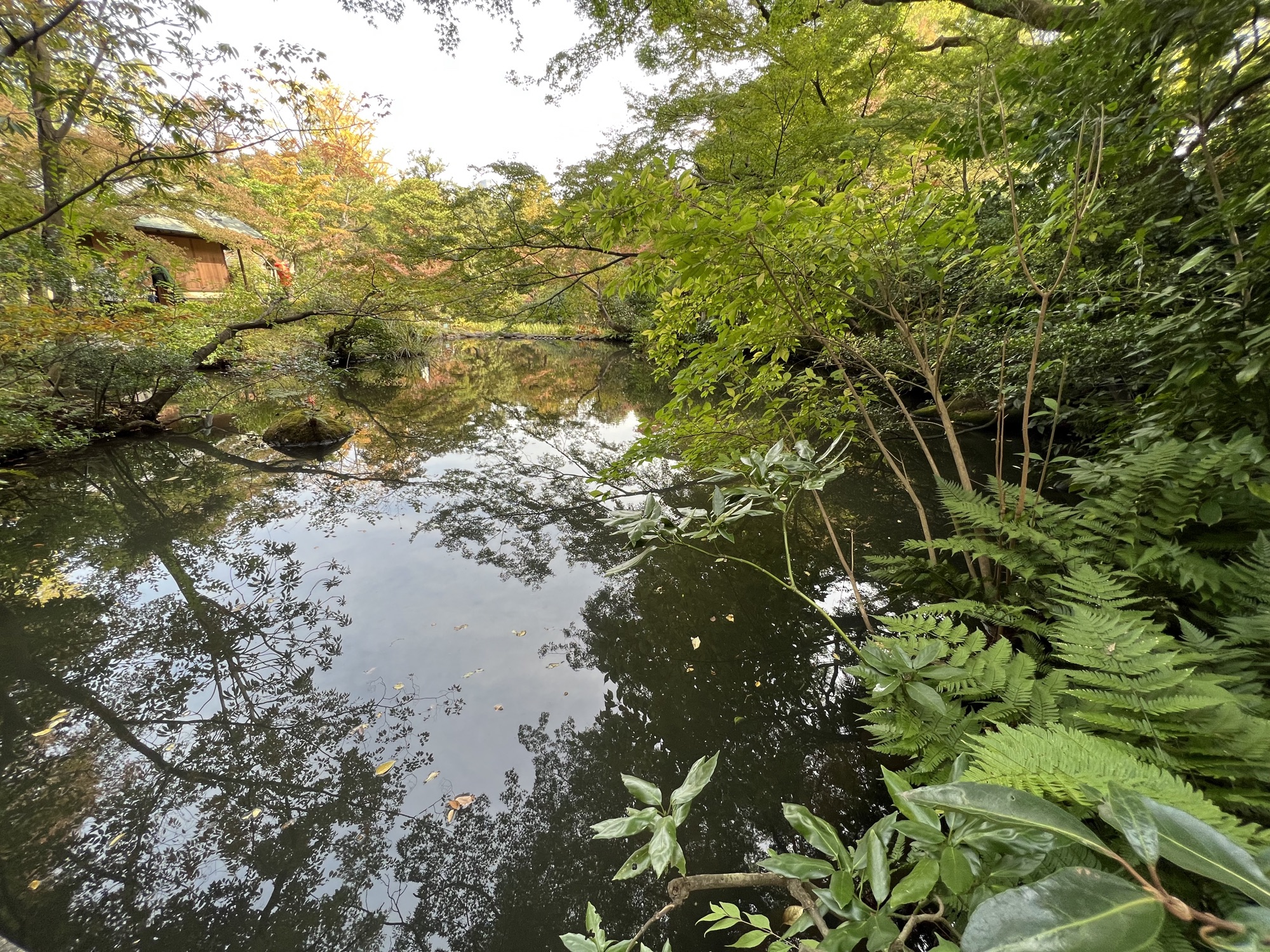 根津美術館庭園１