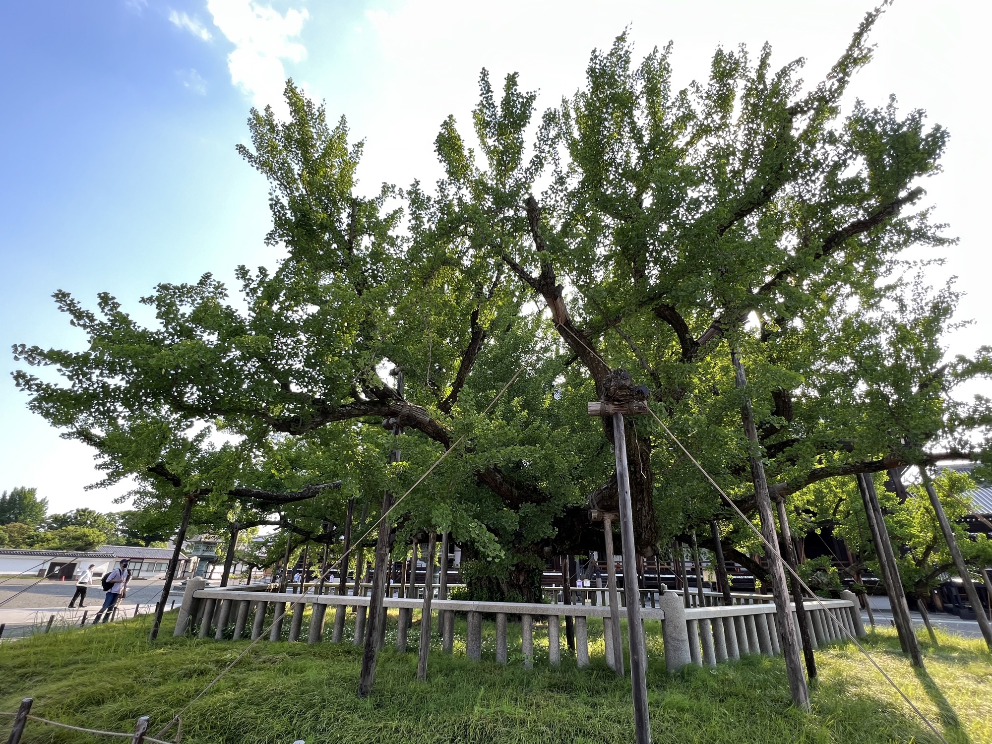 ＠西本願寺