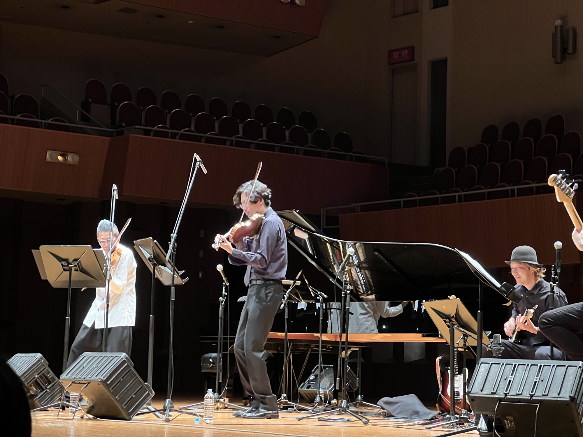 DOS DEL FIDDLES