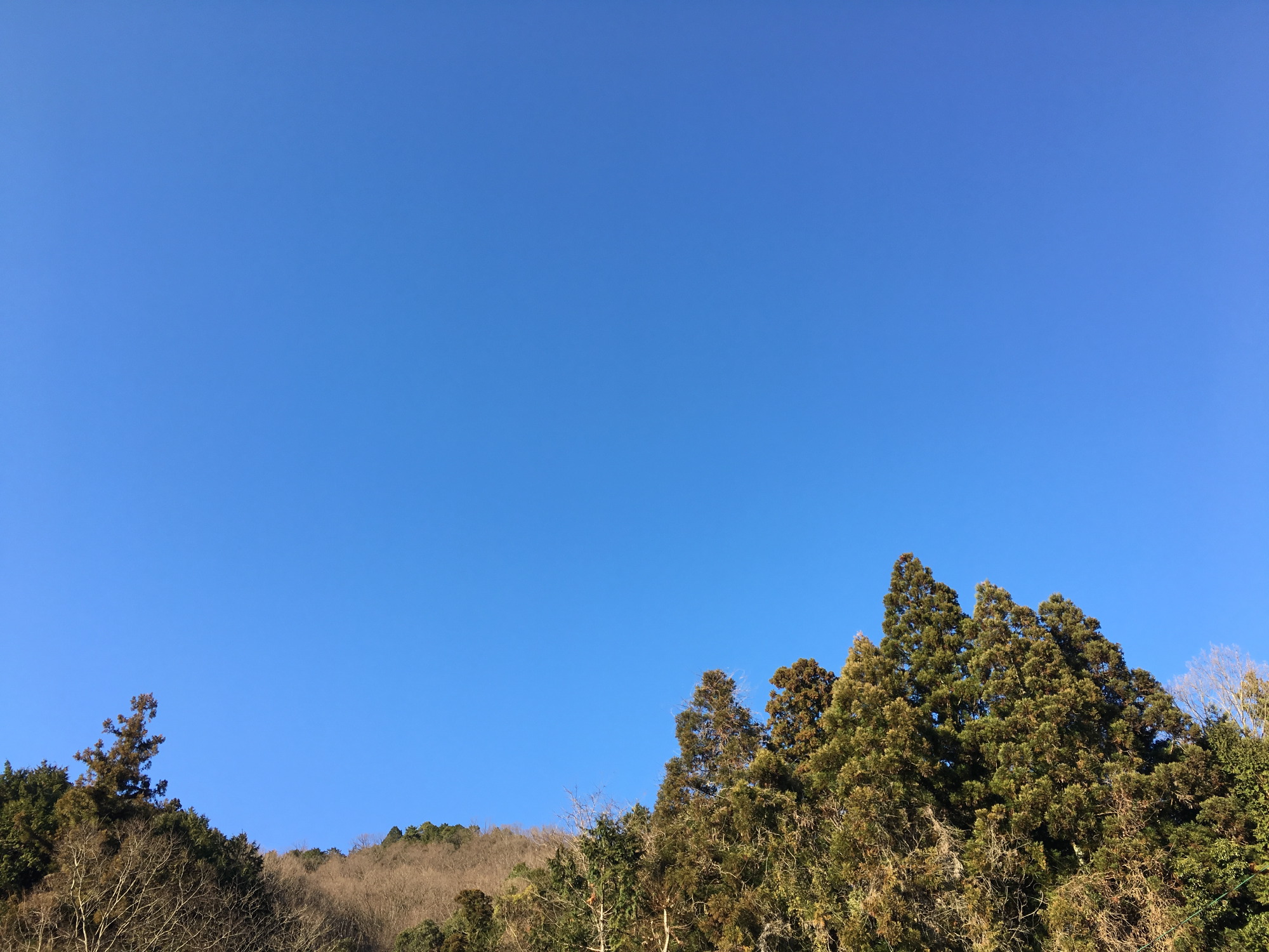 青空＠市原