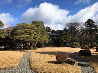 芝庭