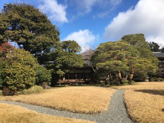 芝庭