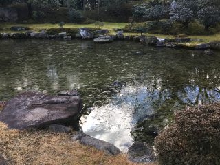 薄氷の張った池